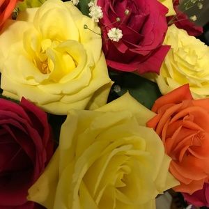 Meet your Posher, Stacey